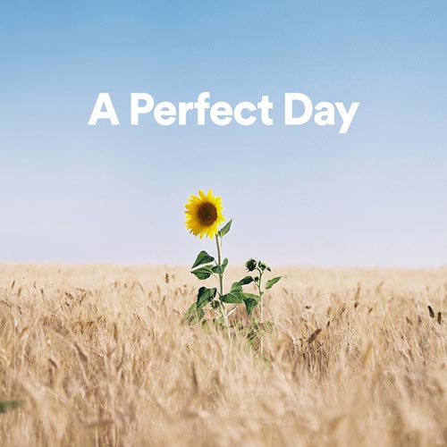 پلی لیست A Perfect Day