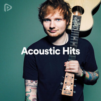 پلی لیست Acoustic Hits