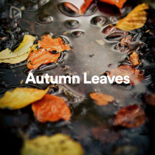 پلی لیست Autumn Leaves