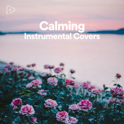 پلی لیست Instrumental Covers