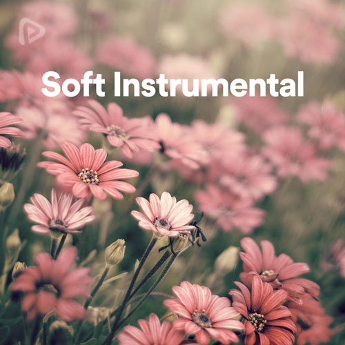 پلی لیست Soft Instrumental