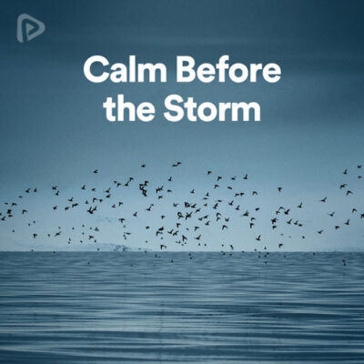 پلی لیست Calm Before the Storm