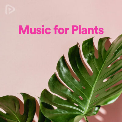 پلی لیست Music for Plants