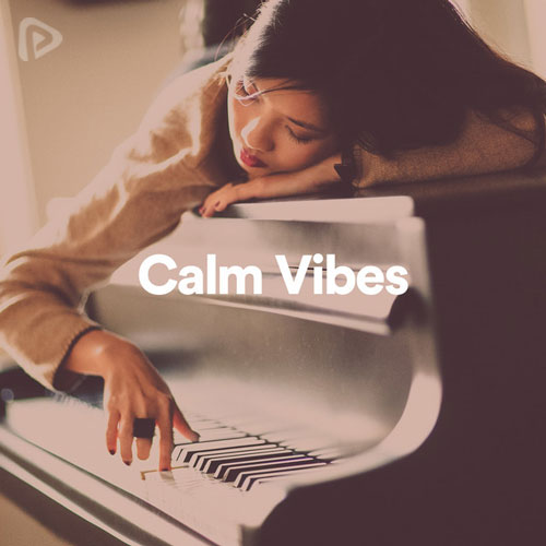 پلی لیست Calm Vibes