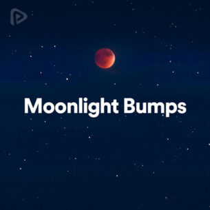 پلی لیست Moonlight Bumps