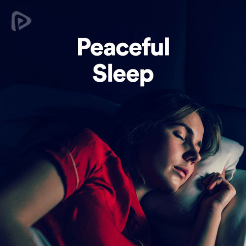 پلی لیست Peaceful Sleep