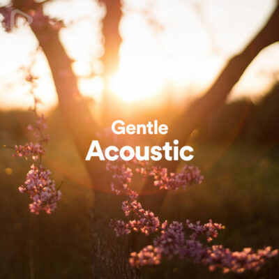 Gentle Acoustic
