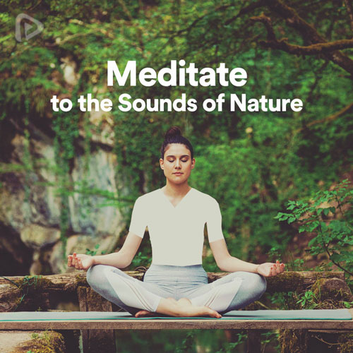 پلی لیست Meditate to the Sounds of Nature
