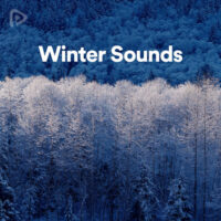 پلی لیست Winter Sounds