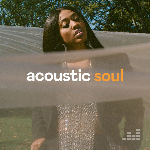 پلی لیست Acoustic Soul