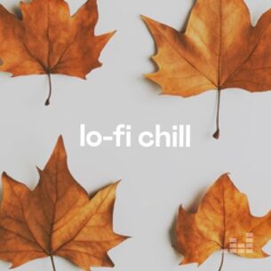 پلی لیست Lo-Fi & chill