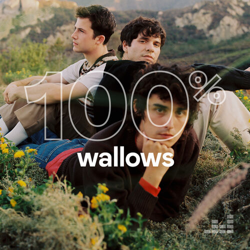 100% Wallows